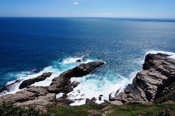 龍洞灣岬步道：<台灣步道> 東北角.龍洞灣岬步道-與海為鄰的壯闊視野
