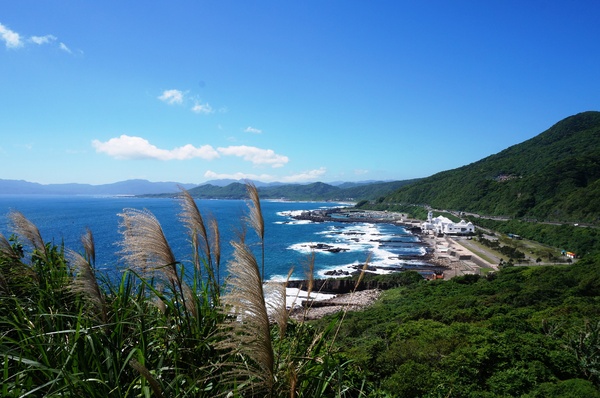 龍洞灣岬步道：<台灣步道> 東北角.龍洞灣岬步道-與海為鄰的壯闊視野
