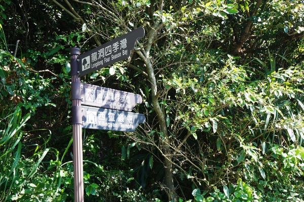 龍洞灣岬步道：<台灣步道> 東北角.龍洞灣岬步道-與海為鄰的壯闊視野