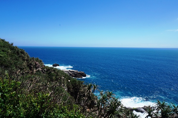 龍洞灣岬步道：<台灣步道> 東北角.龍洞灣岬步道-與海為鄰的壯闊視野