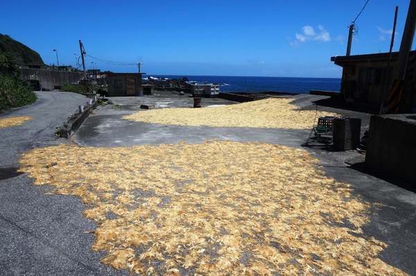 龍洞灣岬步道：<台灣步道> 東北角.龍洞灣岬步道-與海為鄰的壯闊視野