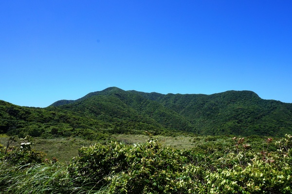 龍洞灣岬步道：<台灣步道> 東北角.龍洞灣岬步道-與海為鄰的壯闊視野