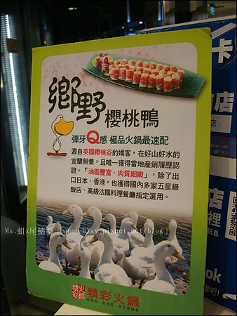 精彩火鍋(台北館前店)：［台北車站］精彩火鍋．新鮮食材吃到飽