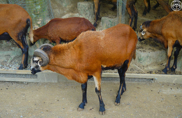 綠世界生態農場:作伙來企投【新竹・綠世界生態農場】豐富動植物生態的奇幻之旅
