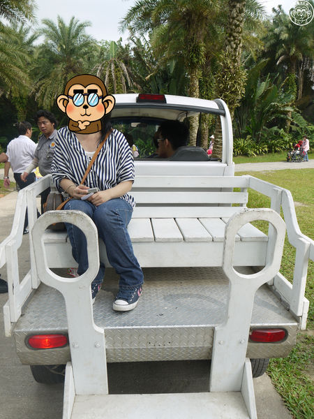 綠世界生態農場:作伙來企投【新竹・綠世界生態農場】豐富動植物生態的奇幻之旅