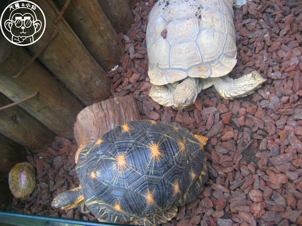 綠世界生態農場:作伙來企投【新竹・綠世界生態農場】豐富動植物生態的奇幻之旅