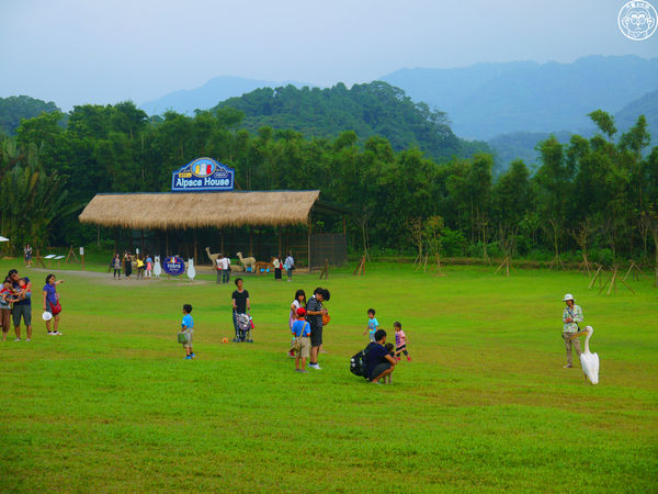 綠世界生態農場:作伙來企投【新竹・綠世界生態農場】豐富動植物生態的奇幻之旅