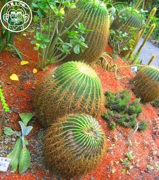 綠世界生態農場:作伙來企投【新竹・綠世界生態農場】豐富動植物生態的奇幻之旅