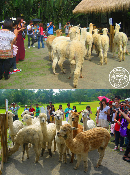 綠世界生態農場:作伙來企投【新竹・綠世界生態農場】豐富動植物生態的奇幻之旅