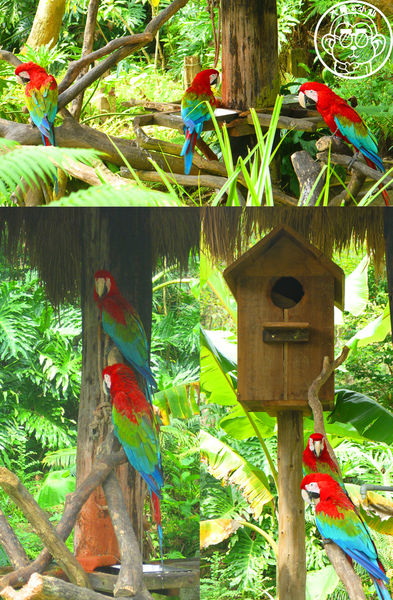 綠世界生態農場:作伙來企投【新竹・綠世界生態農場】豐富動植物生態的奇幻之旅