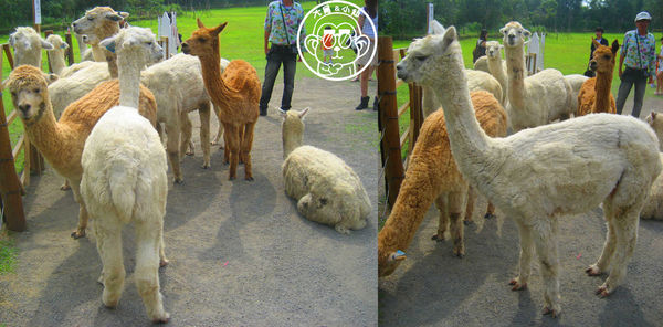 綠世界生態農場:作伙來企投【新竹・綠世界生態農場】豐富動植物生態的奇幻之旅