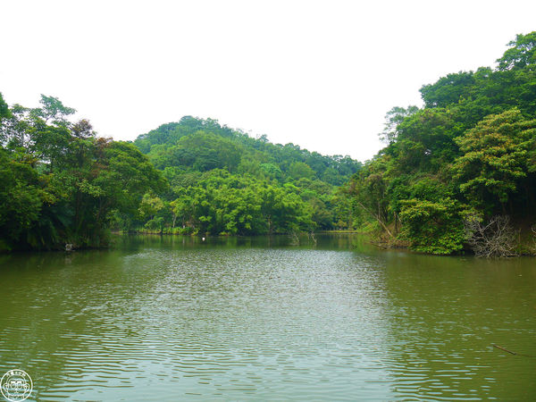綠世界生態農場:作伙來企投【新竹・綠世界生態農場】豐富動植物生態的奇幻之旅