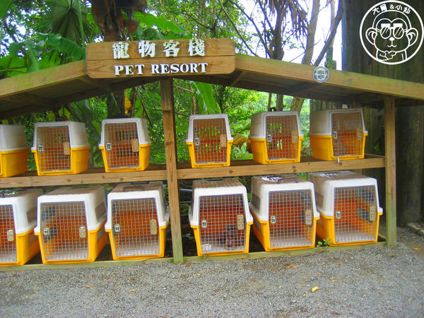 綠世界生態農場:作伙來企投【新竹・綠世界生態農場】豐富動植物生態的奇幻之旅