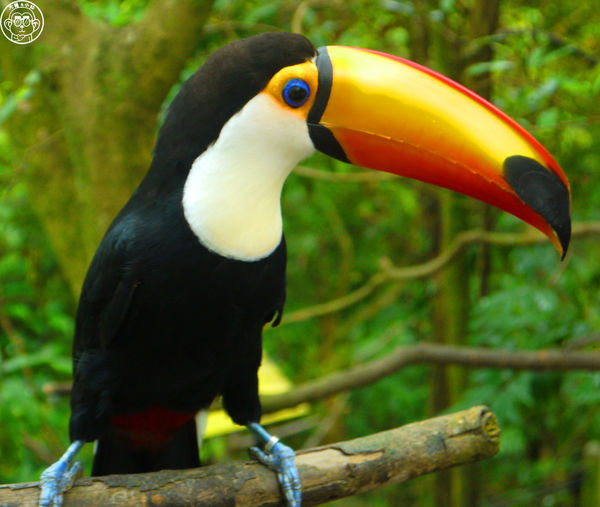 綠世界生態農場:作伙來企投【新竹・綠世界生態農場】豐富動植物生態的奇幻之旅