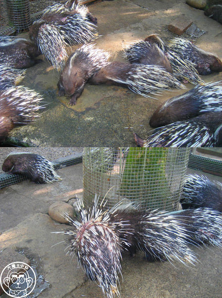 綠世界生態農場:作伙來企投【新竹・綠世界生態農場】豐富動植物生態的奇幻之旅