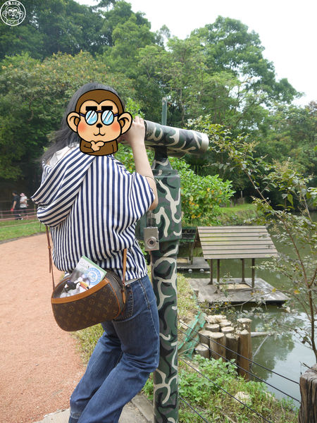 綠世界生態農場:作伙來企投【新竹・綠世界生態農場】豐富動植物生態的奇幻之旅