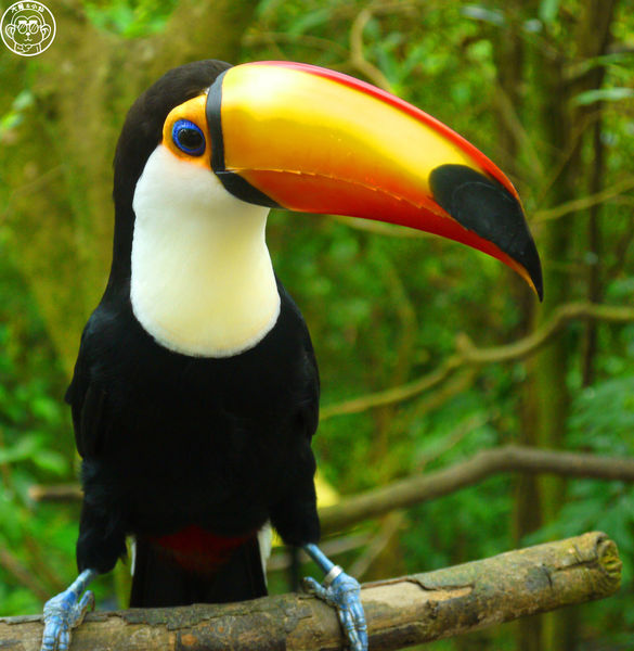 綠世界生態農場:作伙來企投【新竹・綠世界生態農場】豐富動植物生態的奇幻之旅