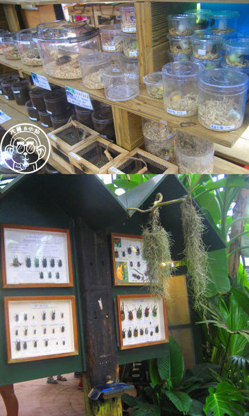 綠世界生態農場:作伙來企投【新竹・綠世界生態農場】豐富動植物生態的奇幻之旅