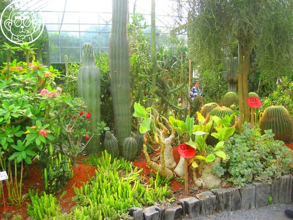 綠世界生態農場:作伙來企投【新竹・綠世界生態農場】豐富動植物生態的奇幻之旅