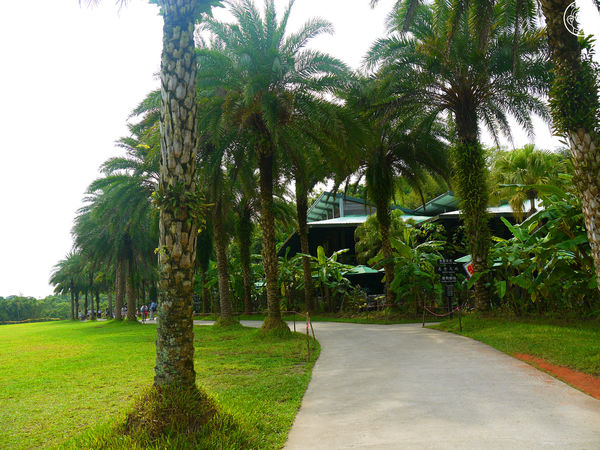 綠世界生態農場:作伙來企投【新竹・綠世界生態農場】豐富動植物生態的奇幻之旅