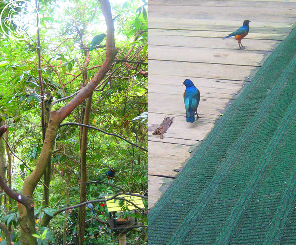 綠世界生態農場:作伙來企投【新竹・綠世界生態農場】豐富動植物生態的奇幻之旅