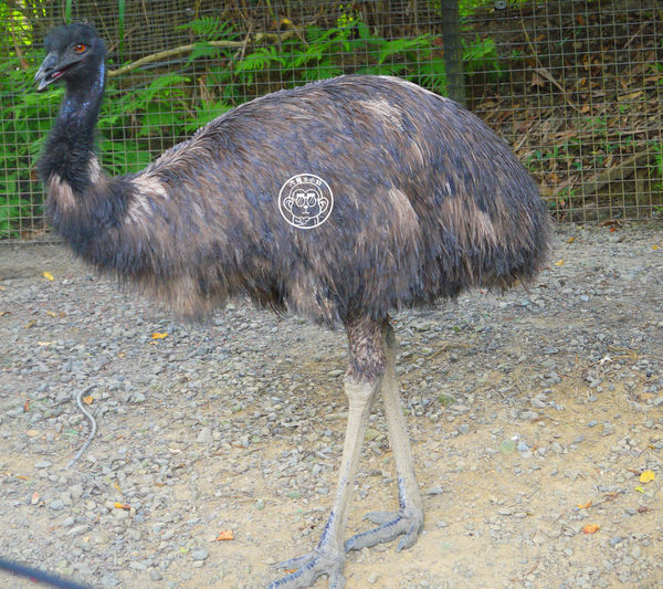 綠世界生態農場:作伙來企投【新竹・綠世界生態農場】豐富動植物生態的奇幻之旅