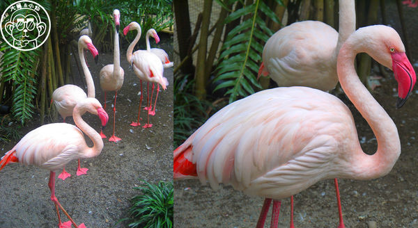 綠世界生態農場:作伙來企投【新竹・綠世界生態農場】豐富動植物生態的奇幻之旅