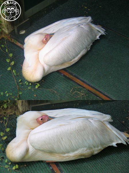 綠世界生態農場:作伙來企投【新竹・綠世界生態農場】豐富動植物生態的奇幻之旅