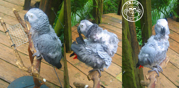 綠世界生態農場:作伙來企投【新竹・綠世界生態農場】豐富動植物生態的奇幻之旅