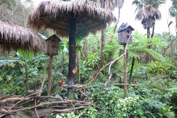 【新竹旅遊】綠世界生態農場-可愛動物互動農場