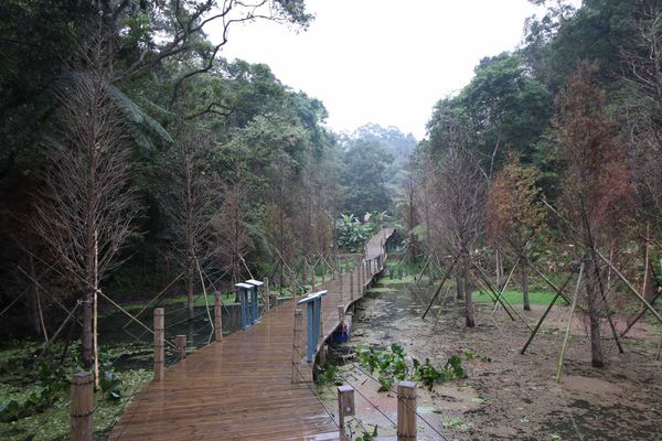 【新竹旅遊】綠世界生態農場-可愛動物互動農場