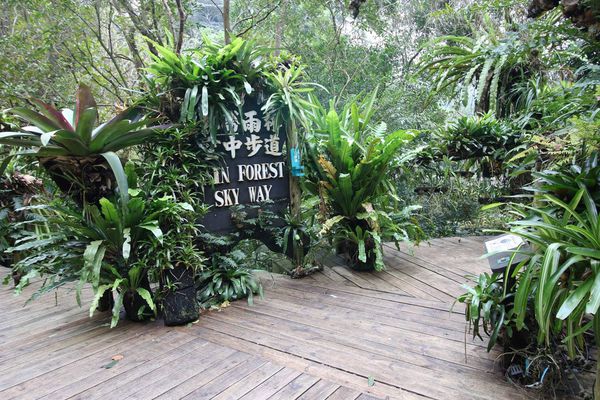 【新竹旅遊】綠世界生態農場-可愛動物互動農場