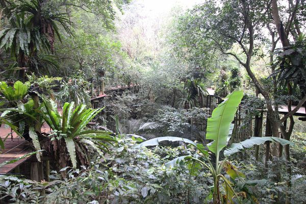 【新竹旅遊】綠世界生態農場-可愛動物互動農場