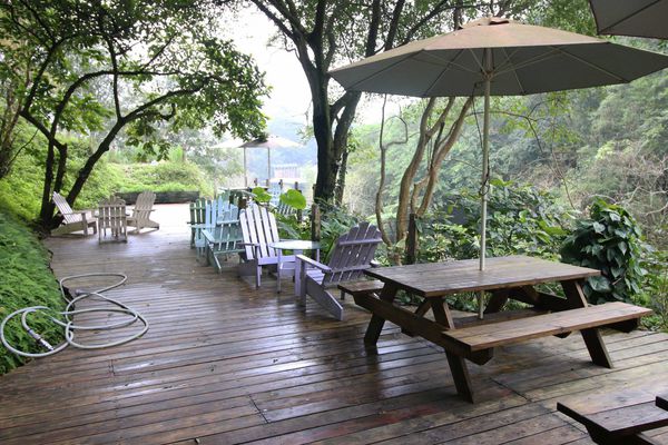 【新竹旅遊】綠世界生態農場-可愛動物互動農場