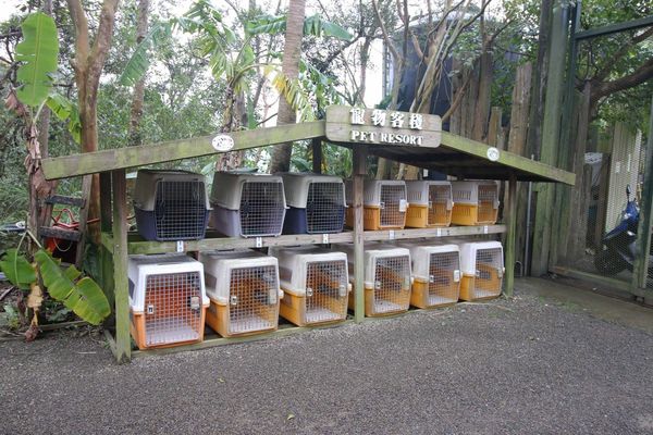 【新竹旅遊】綠世界生態農場-可愛動物互動農場