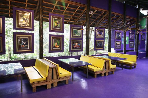 【新竹旅遊】綠世界生態農場-可愛動物互動農場