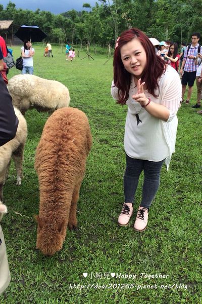 IMG_1298 (146)_副本.jpg