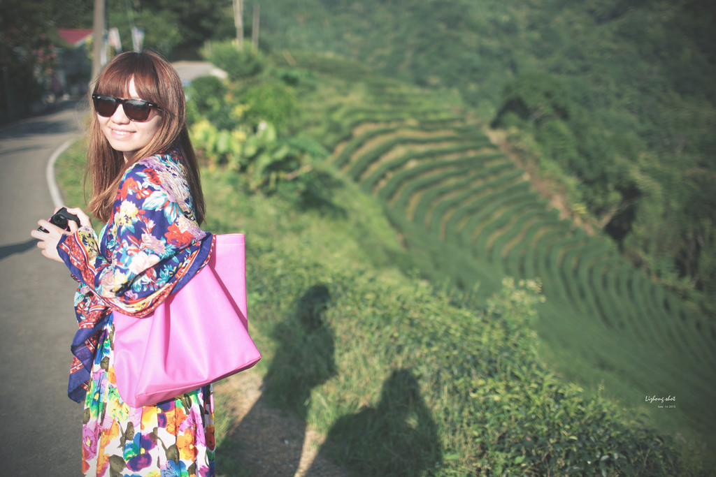石碇潭腰的八卦茶園