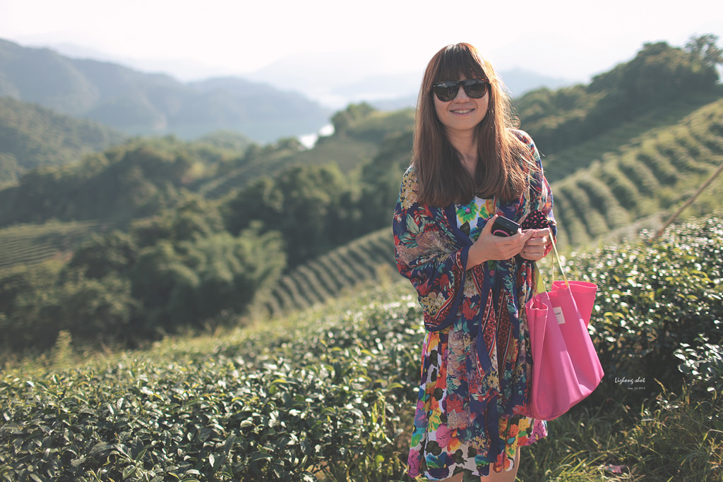 石碇潭腰的八卦茶園