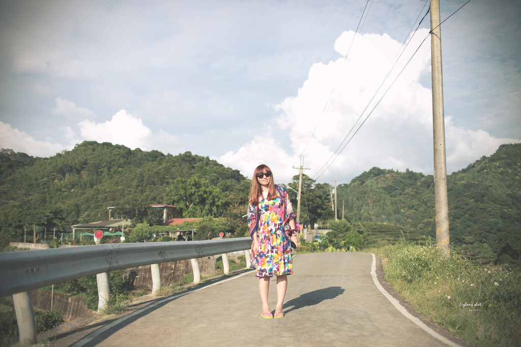 石碇潭腰的八卦茶園