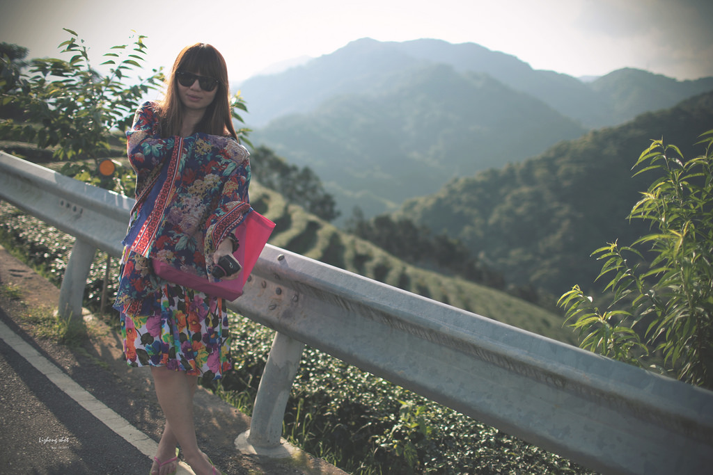 石碇潭腰的八卦茶園