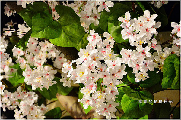 台北市客家文化主題公園:【臺北】中正區。臺北市客家文化主題公園