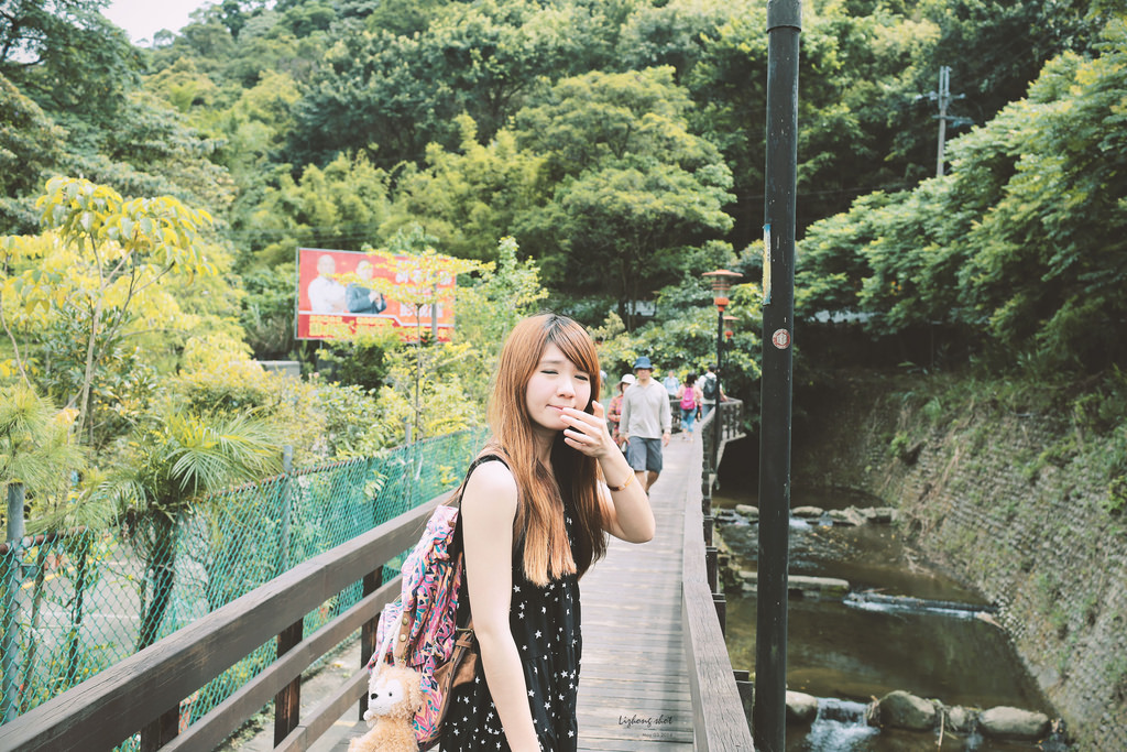 這淡淡的詩意襲上之桐花公園