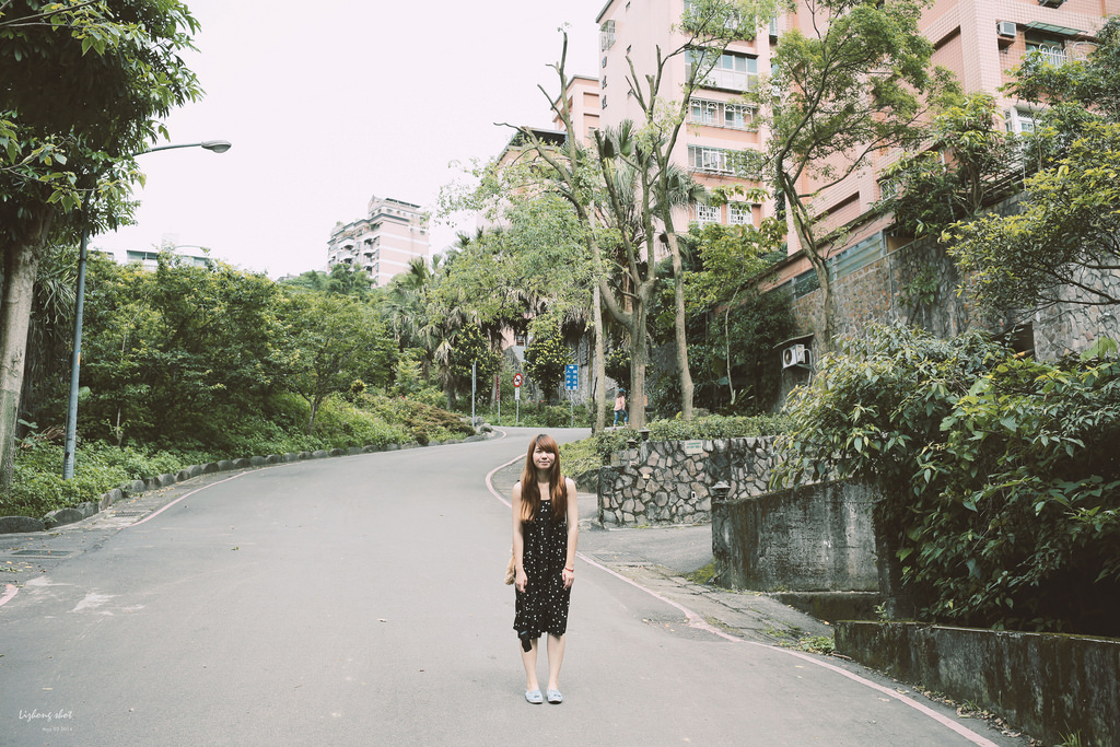 這淡淡的詩意襲上之桐花公園