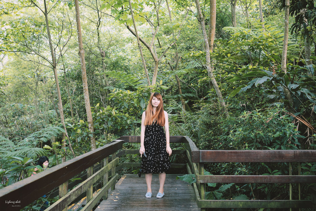 這淡淡的詩意襲上之桐花公園