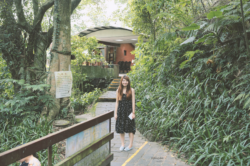 這淡淡的詩意襲上之桐花公園