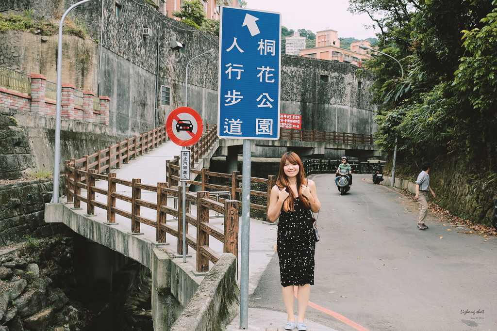 這淡淡的詩意襲上之桐花公園