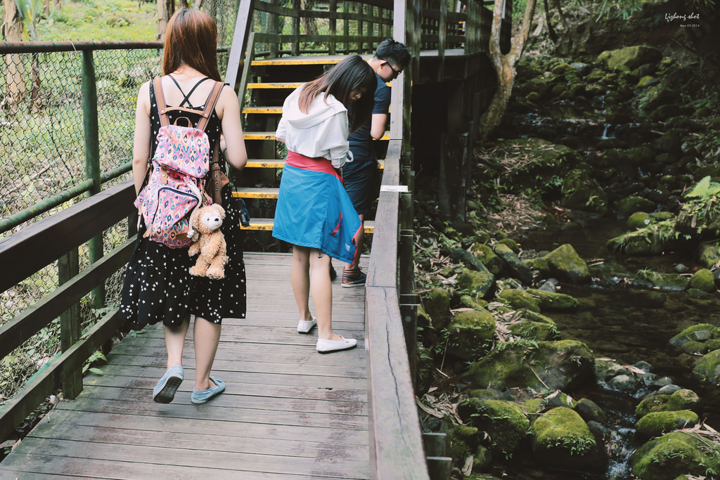 這淡淡的詩意襲上之桐花公園