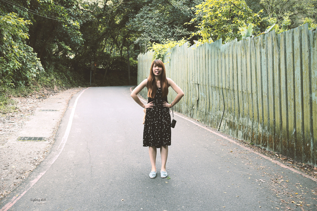 這淡淡的詩意襲上之桐花公園