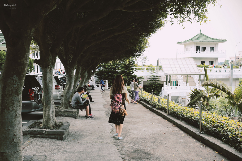 這淡淡的詩意襲上之桐花公園
